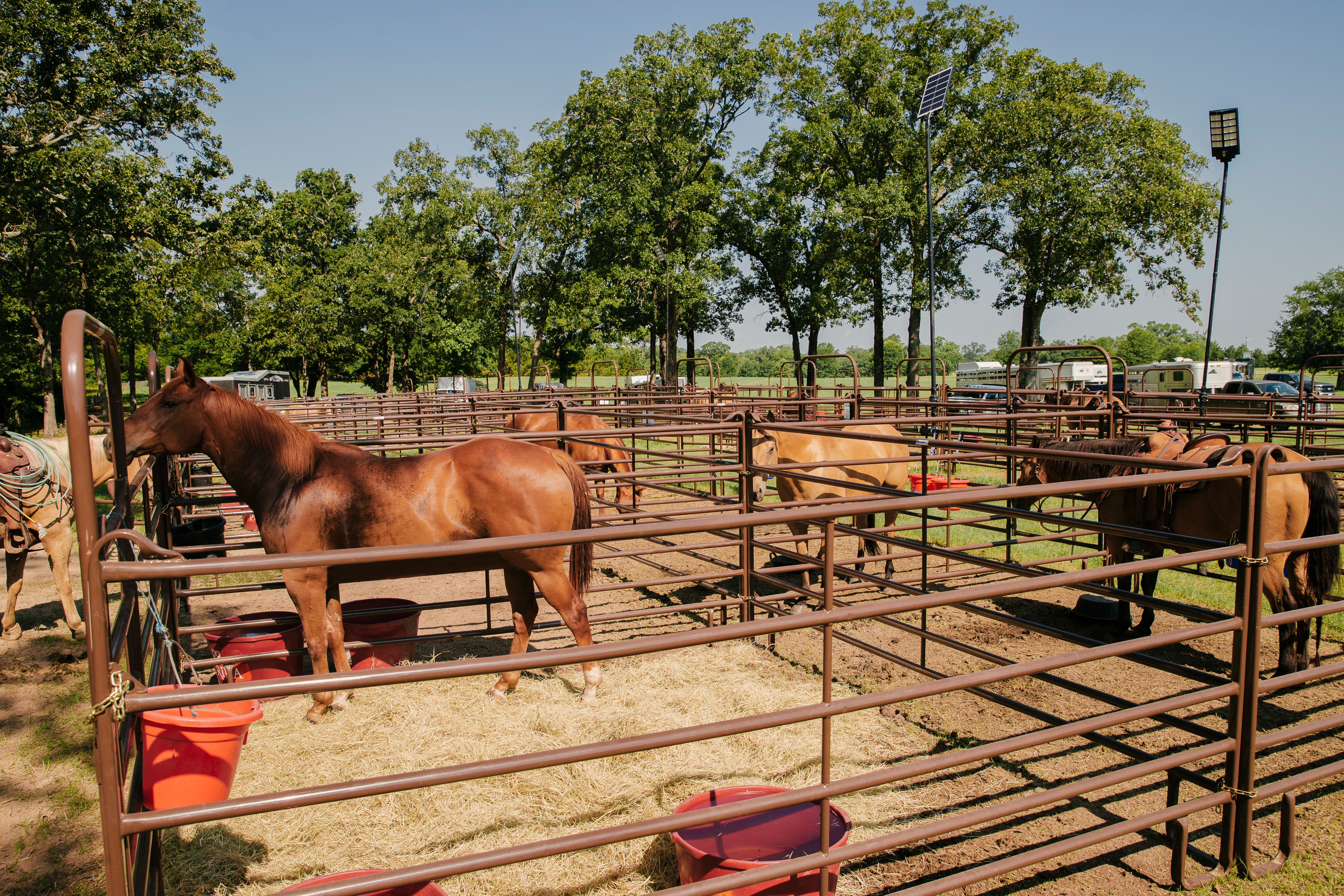 UP Utility Panels Paddock 6120.jpg